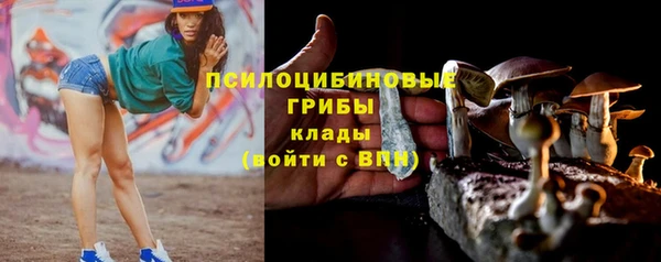МДПВ Арсеньев