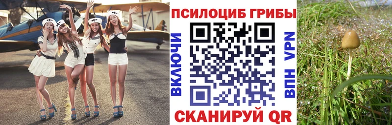 Купить  Богородицк  Псилоцибиновые грибы мухоморы 