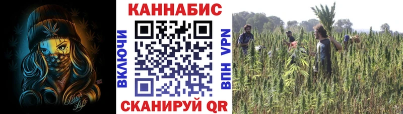 Купить закладки  Богородицк  Марихуана SATIVA & INDICA 